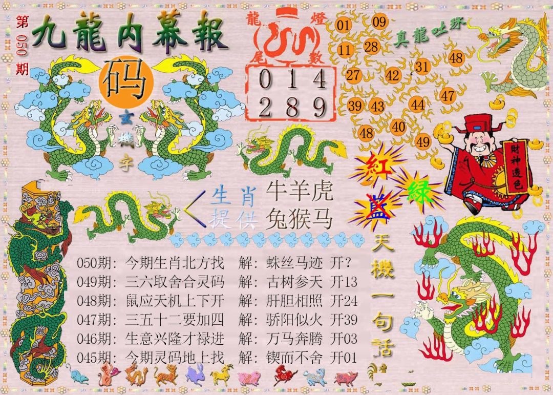 050期九龙内幕报[图]
