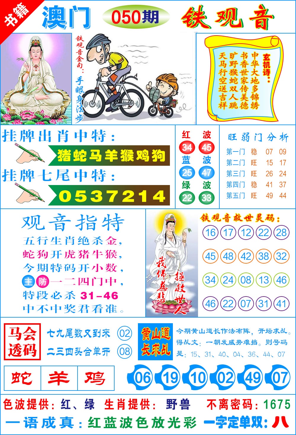 050期澳门铁观音[图]