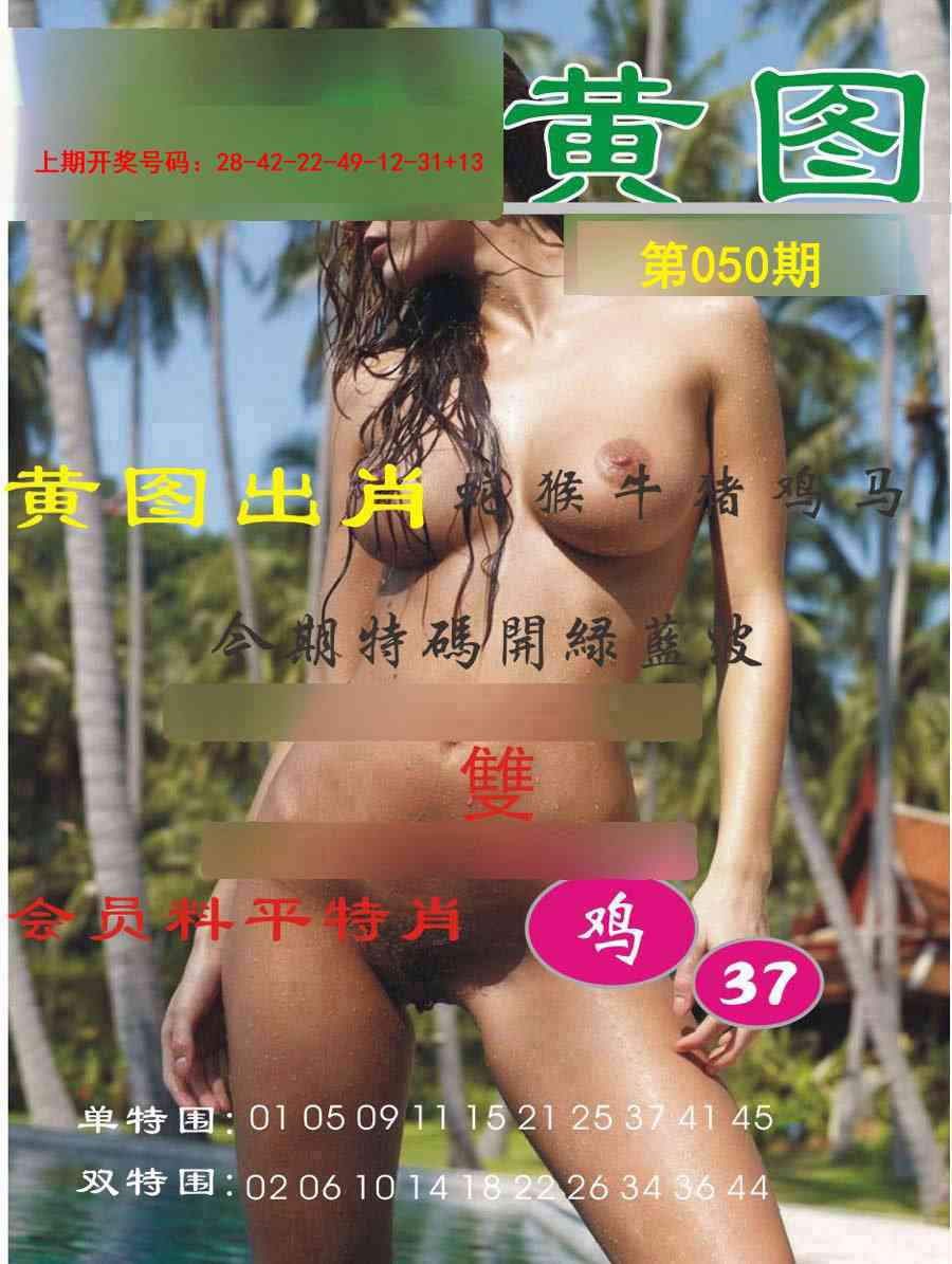 050期黄图[图]