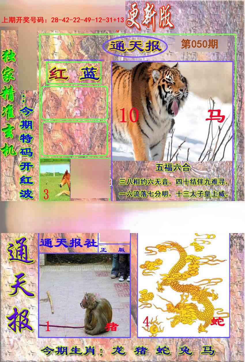 050期新通报[图]