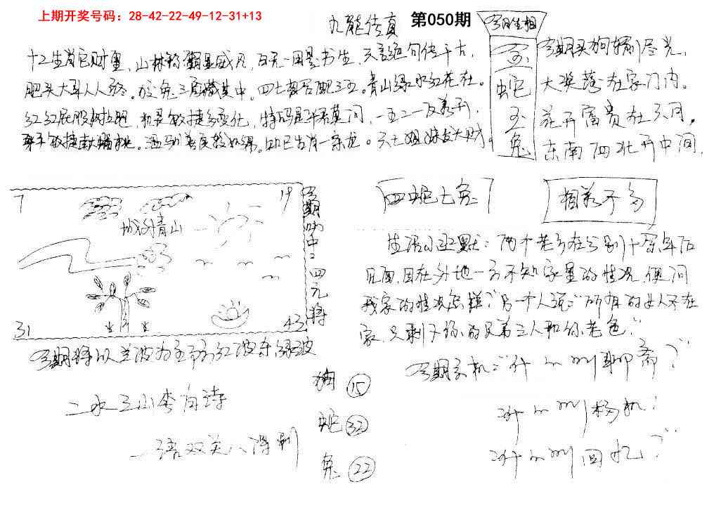 050期手写九龙内幕[图]