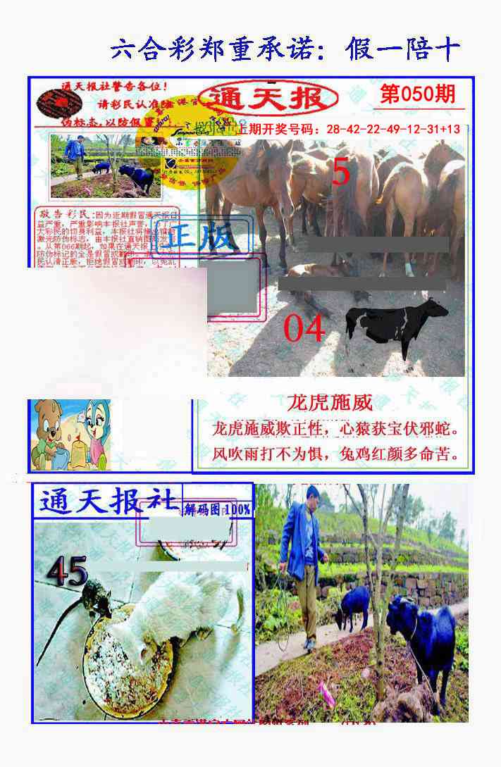 050期假一陪十通天报[图]