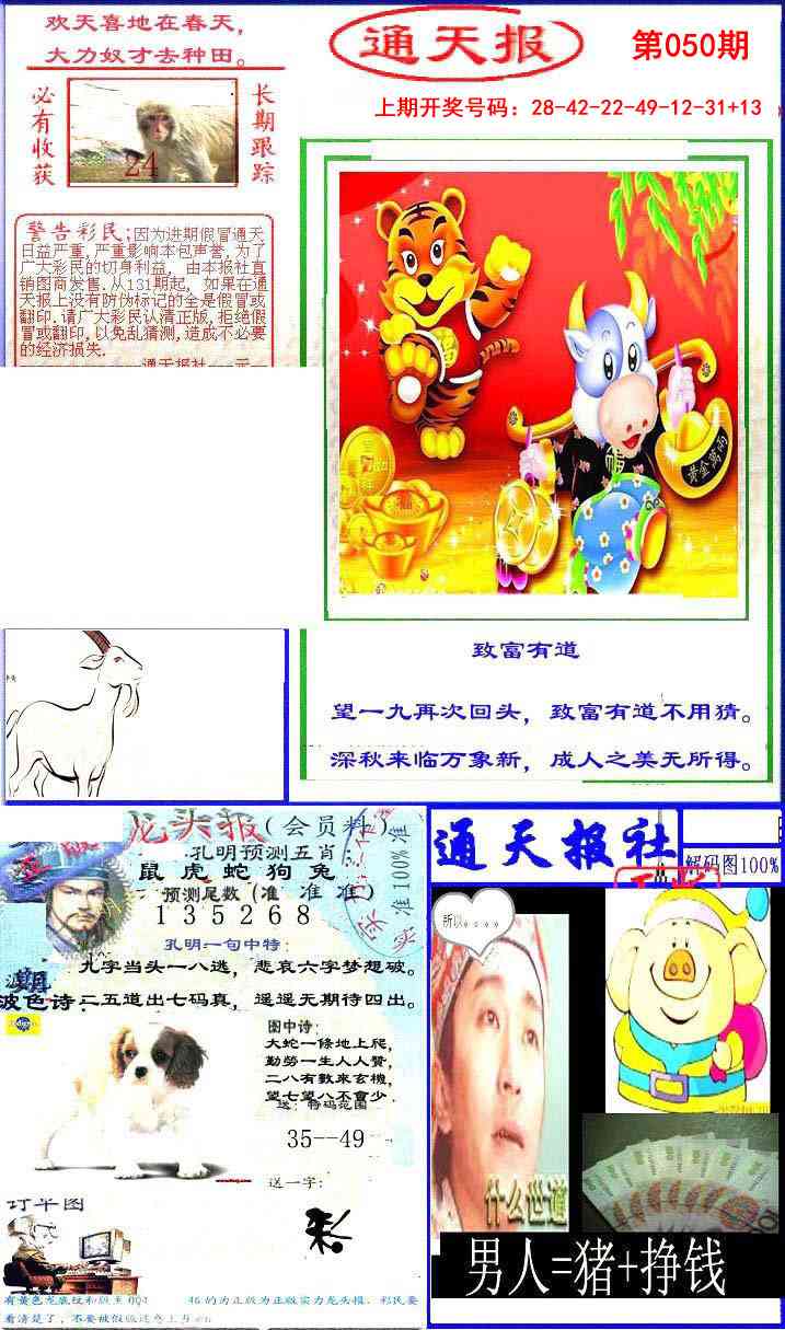 050期实力通天报[图]