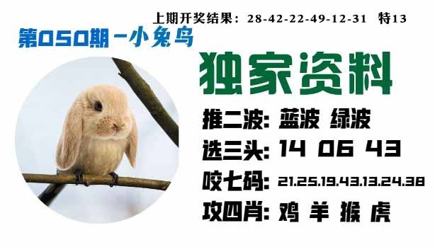 050期小兔鸟[图]