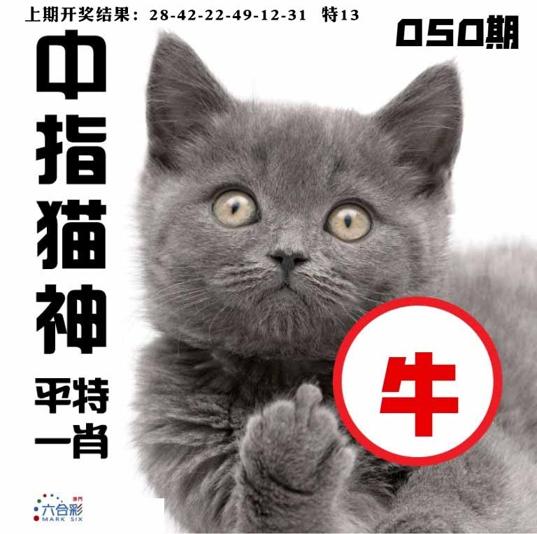 050期中指猫神[图]